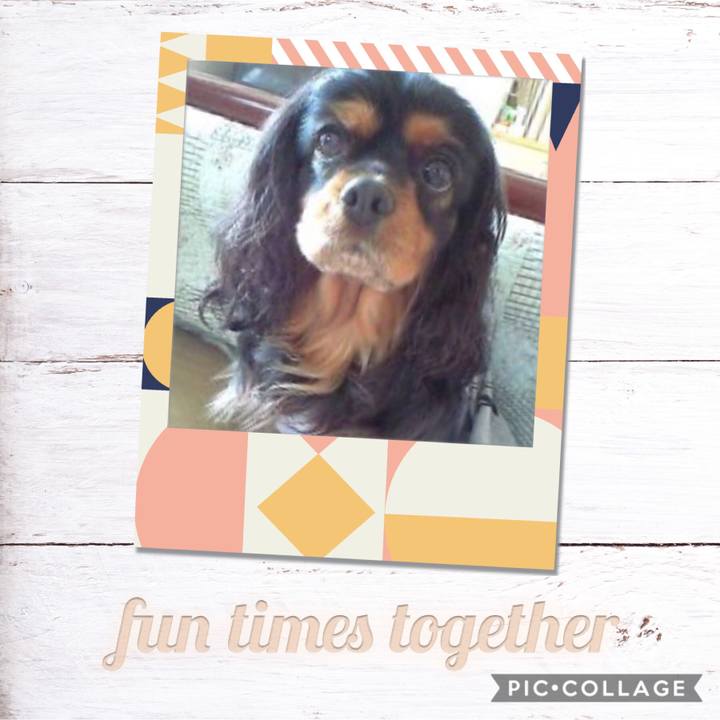 A2e8d93d a3e7 4682 82bf e80723de4035 1560000443363