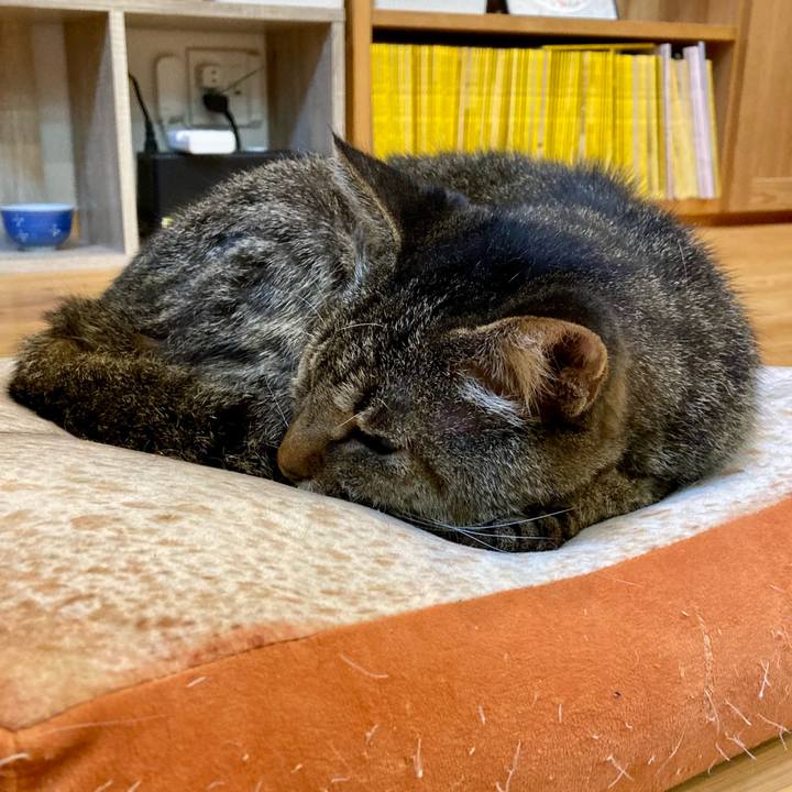 A2e8ef2e 3929 4a1e 9a37 b156d37f962c 1673956337107