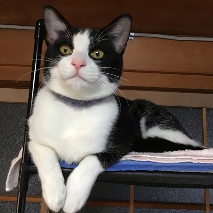 A2e90534 e2ae 41b0 927c e232d9570228 1636273947315