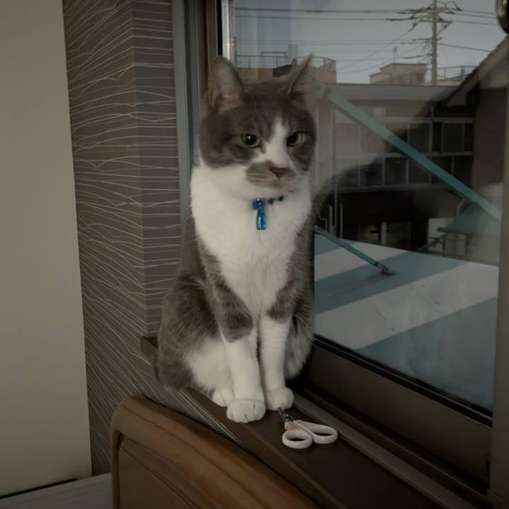 A2e934ca b1fb 4cd2 b91e bed83d4e1fbb 1774788860337