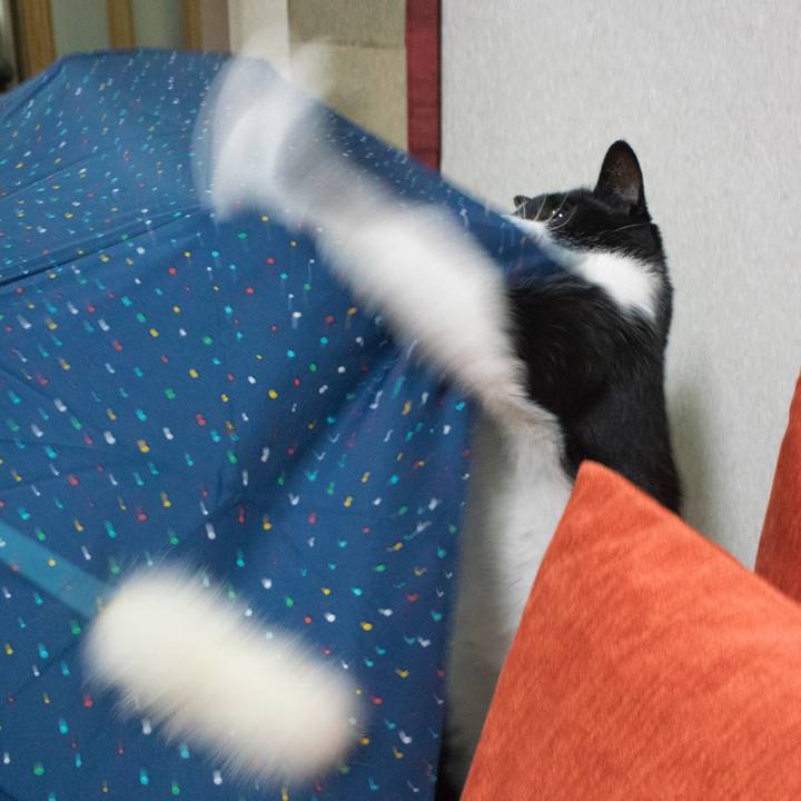 A2e93f6a 9ac0 4c20 b6dc b48be9bbd292 1549669041786