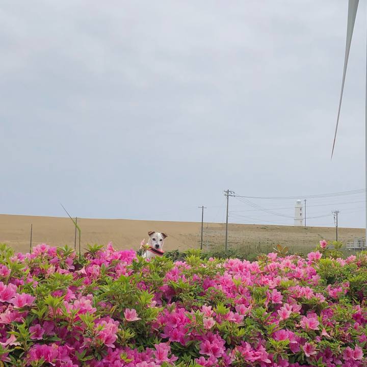 A2e994f4 f0ea 49ba b4bb 2407518aa6f9 1588753088549