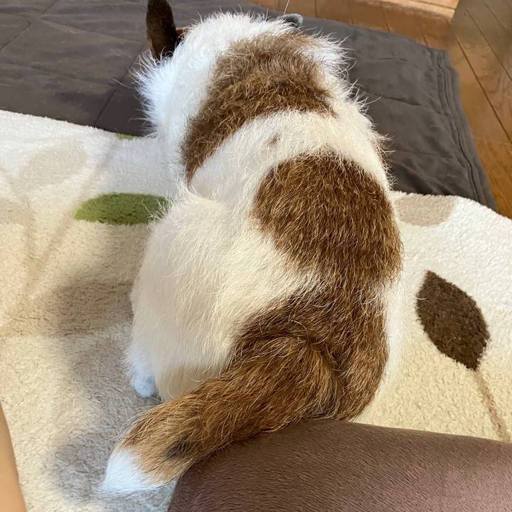 A2ea1d5b 2c38 423b a443 64a8648480cf 1722740015332