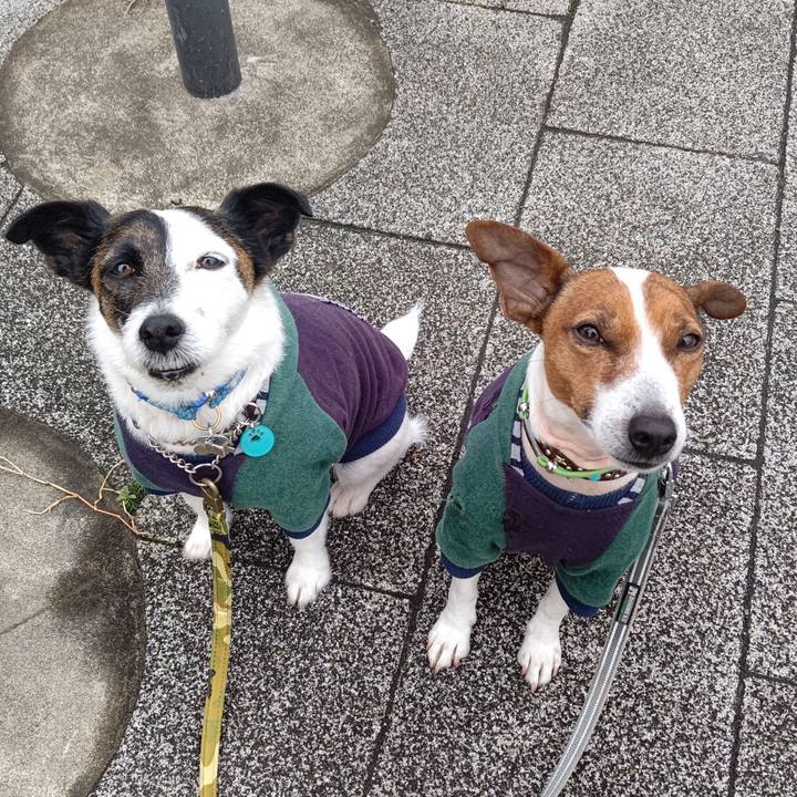 A2ea2d3d 9ac2 420f bf67 3c5fa20d0175 1678061892306