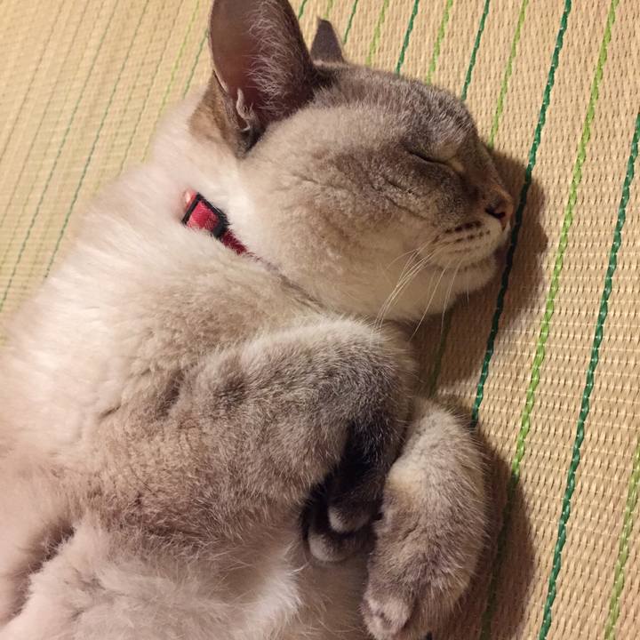 A2ea2eba 5fab 488d b256 efd9f2c6773e 1536413617477