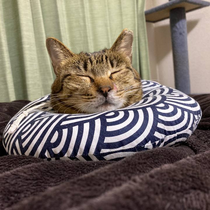 A2ea334e d117 4184 bdb6 95d1bdf7a324 1642411629849