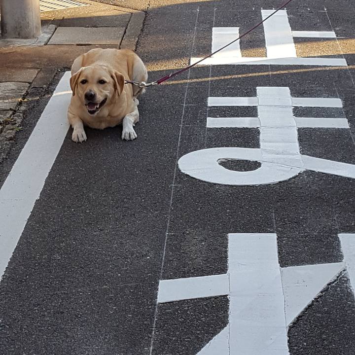 A2ea6d8f 1c98 4c6e 88f4 99519d24ced5 1512441445810