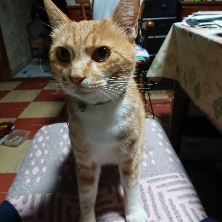 A2eb01e6 8dd1 46aa 87ab d97a52155dc7 1594583583924