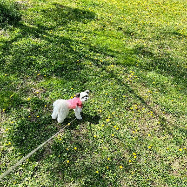 A2eb5df5 3c2b 4fae b7de 51cb3bf60d73 1650114588248