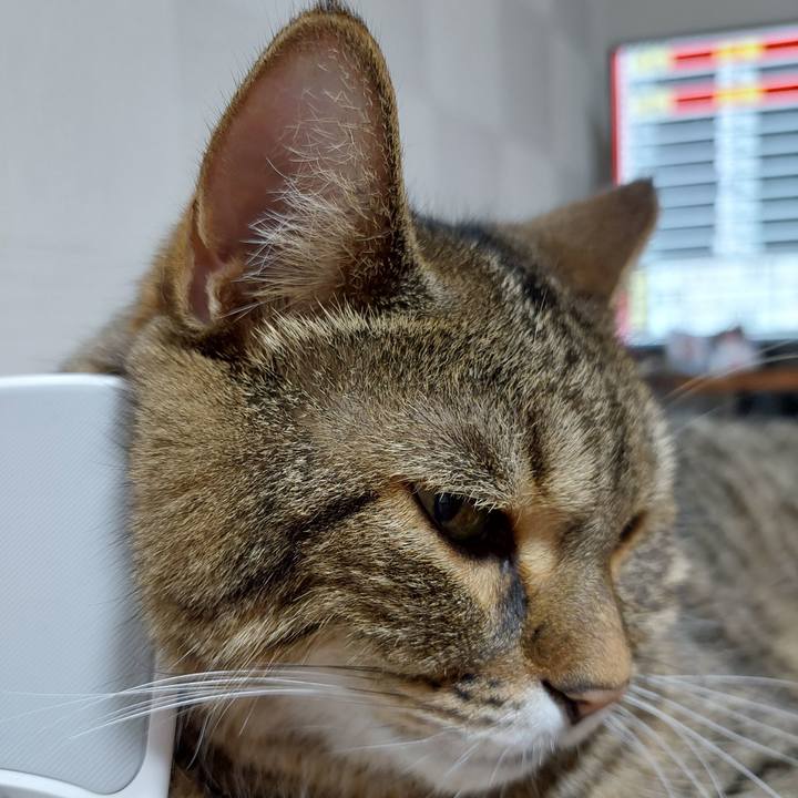 A2eb9e14 c03b 476f acd3 5fdf3b78dca5 1660734944261