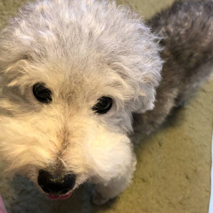 A2eba61f 2aed 495e a712 238619b35aba 1533112118160