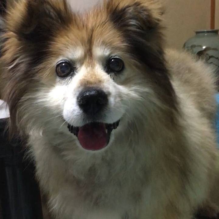 A2ebb9ec b24a 4fca 819e e05773c62276 1605173257043