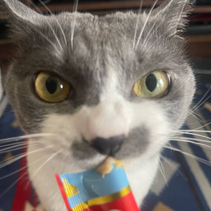 A2ebdbcf 8303 4e3f a947 5665e25c2122 1688018052152