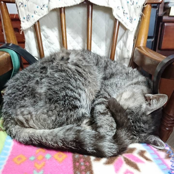 A2ebe408 374a 4f8e a570 eaf94aeb1389 1577576878670