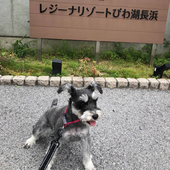 A2eca116 0817 45b8 9888 6372a4a7515d 1686456898805