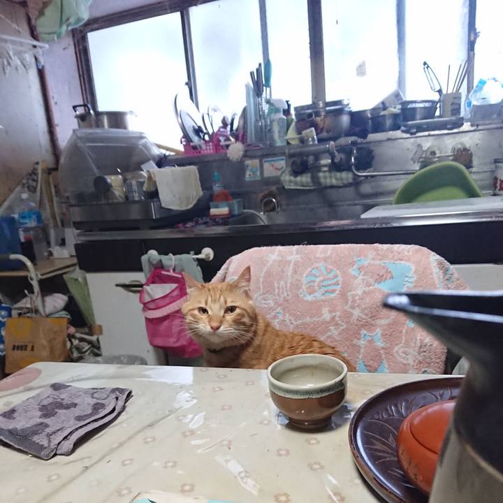 A2ecdab5 96f9 4b04 bdde d525764f398d 1645494153865