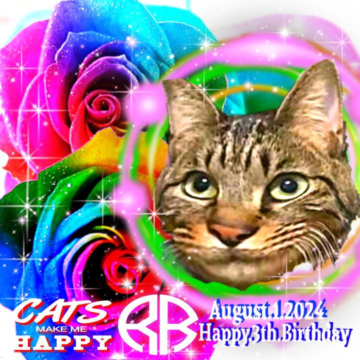 A2ed1550 4061 484b b250 27cbe514cb18 1722526298987