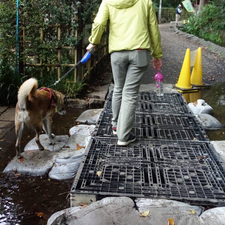 A2ed33f3 7b2f 456a 9c1c ac171c7a131e 1572222411783