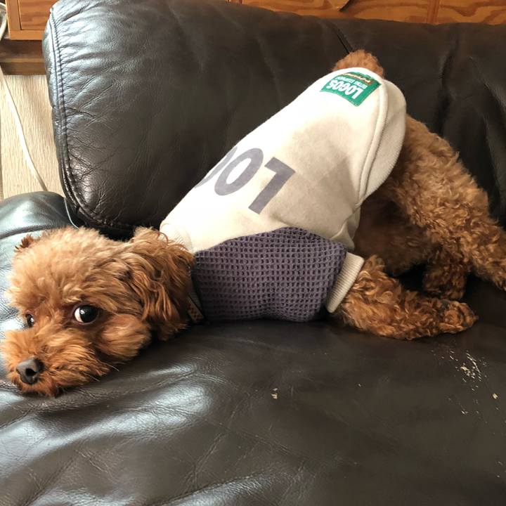 A2ed719e 1a15 47dd 9bb6 bba4c6fecfd8 1552819408487