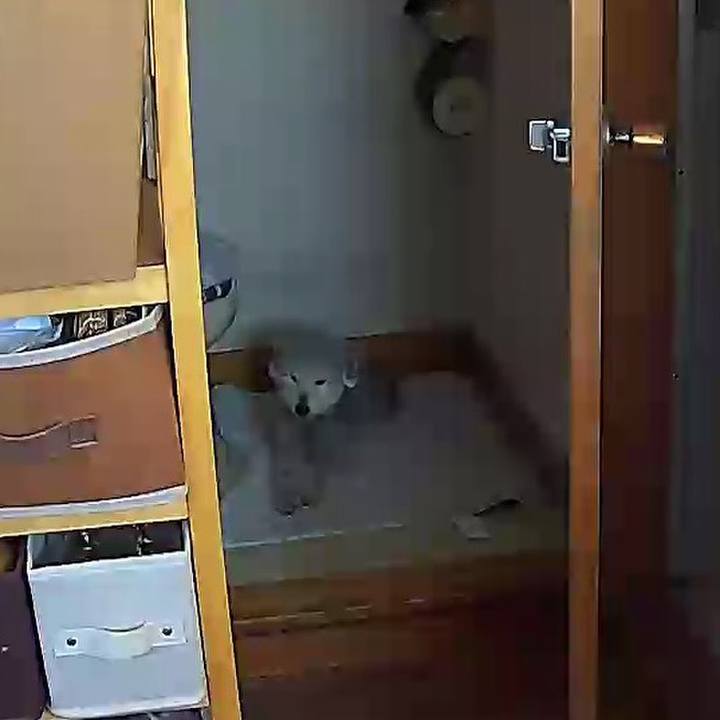 A2ed94c6 eafa 438d 983c c45e699284a2 1619142503005