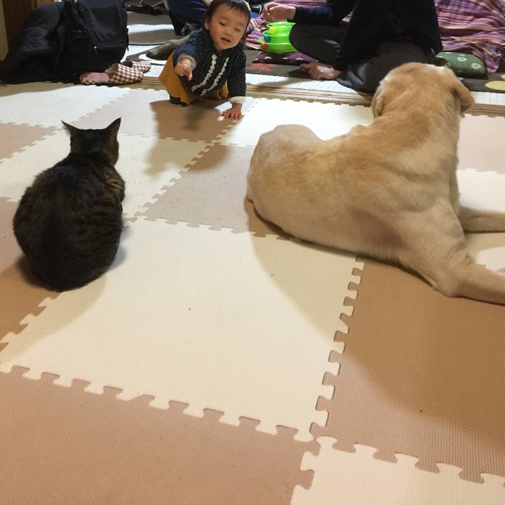 A2edb00b eb05 4b97 90f0 2a304e7c8692 1575749693436