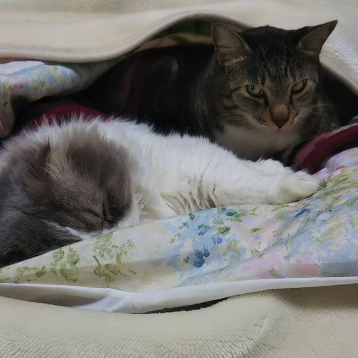 A2edc780 67d7 401b 945b c737efb22433 1641221488685