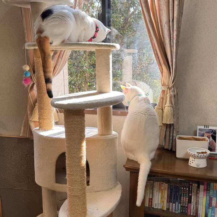 A2ede30f 521f 42ec a7be d5157ed6e176 1761607464668