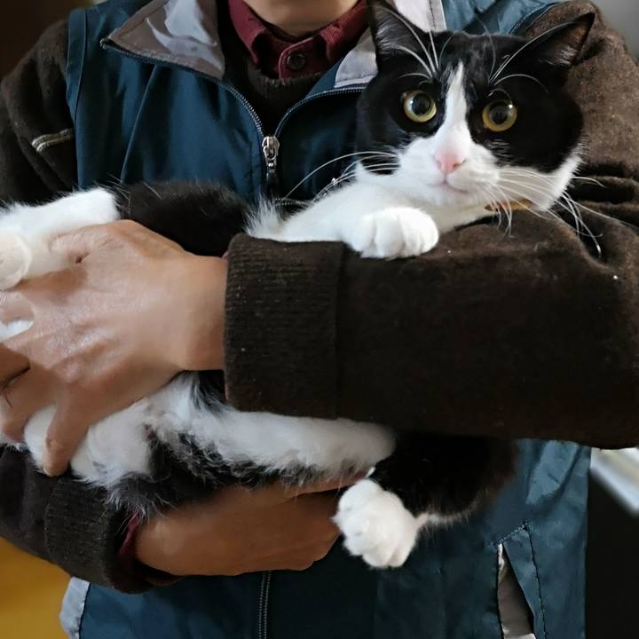 A2edecc3 8661 4712 a876 ed151ada21ba 1574608085355