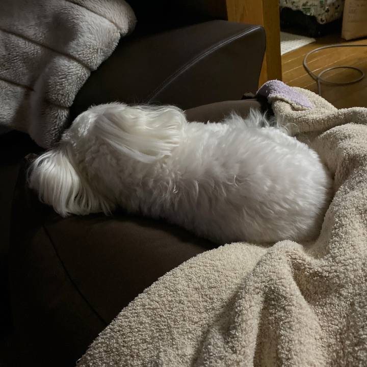 A2edfc18 9d5e 49ee a5e2 2fa4518b2f46 1572261271545