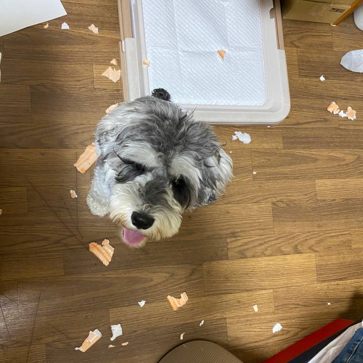 A2ee3306 8a82 4bbe a6c2 eefe11e4e247 1592394569203