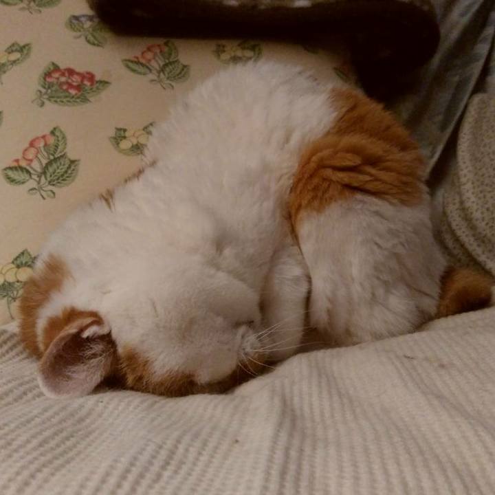 A2ee45ab aaf8 40fa 87c9 1be3a0ee090c 1574337036946