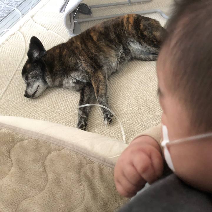 A2ee4fe8 2595 445f bc21 3ca0bd3f970d 1711833192954