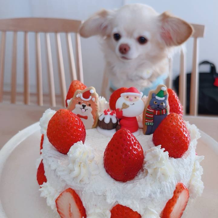 A2ee5029 5f6b 4c0d aacb c27f38568676 1767172272385