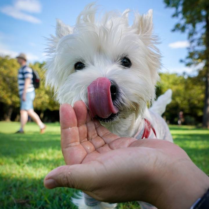 A2ee5db4 c2f7 48ac af3a 24f713d807ec 1536488560646