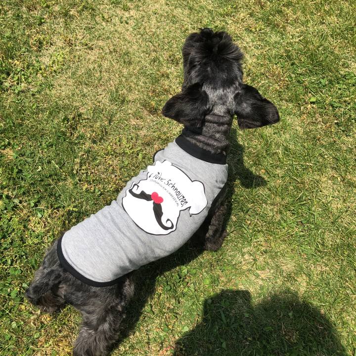 A2ee865b 8eac 4460 81d1 c7eae29f3dba 1557628147263