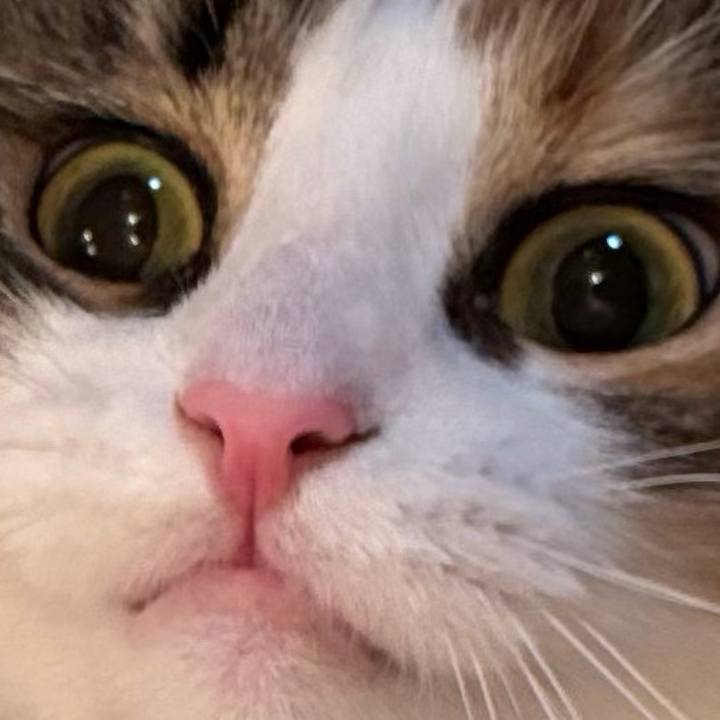 A2ee9c5d a7cc 4edb 95f8 03141424f33b 1758324499308