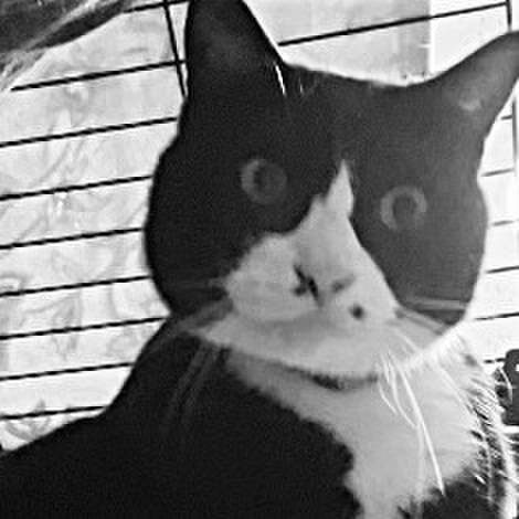 A2eea254 0268 4f2e 9768 fb57203aa046 1742636082638