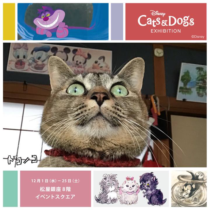 A2eea677 d235 4e68 b6d5 b8f737e4646a 1638834015786