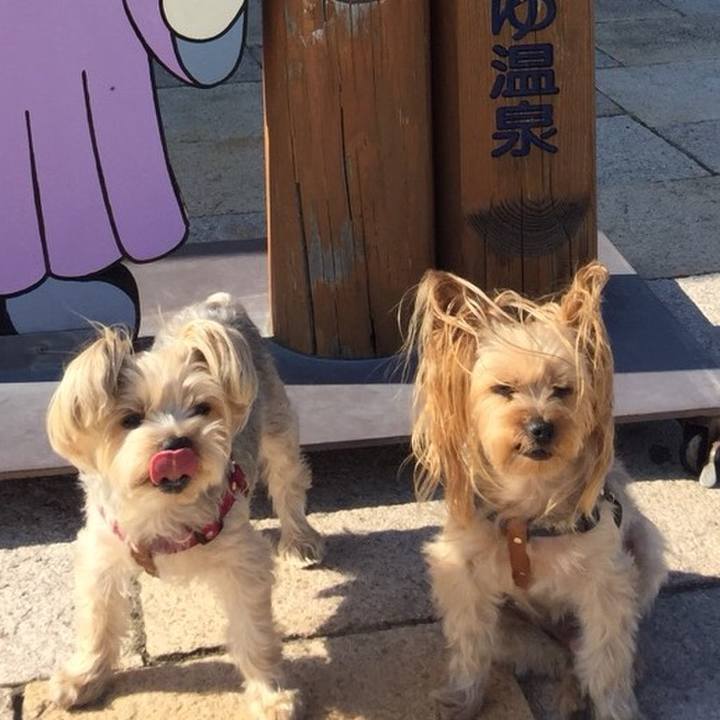 A2eec114 06d6 42d6 9dae 74a87a019ddd 1526943891640