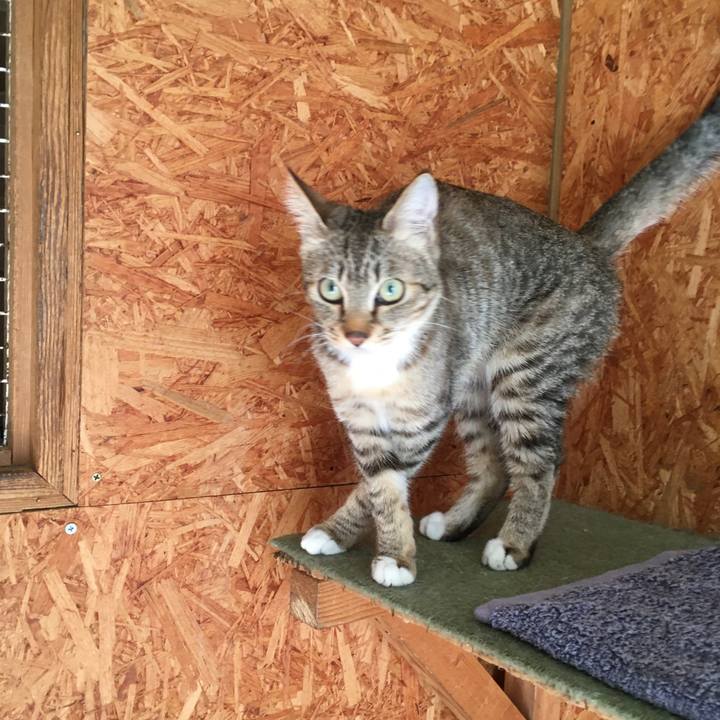 A2eede0b 56b1 4a35 85e1 8049146a4cf3 1580553767664