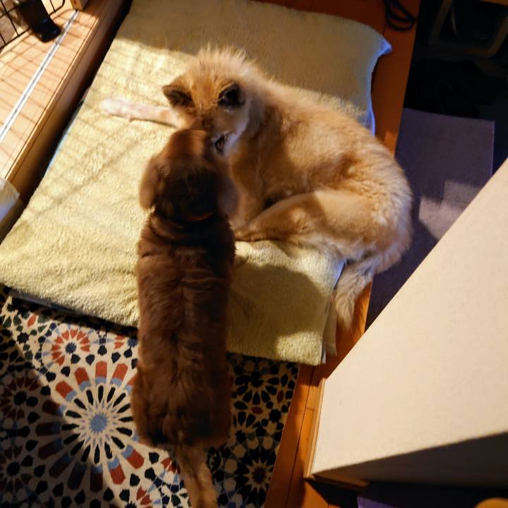 A2ef0790 0965 4c9b a334 0f3c33d1f720 1631142002641