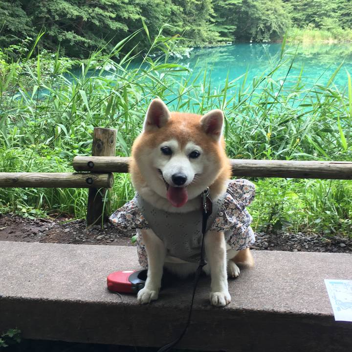 A2ef2c95 bd66 4b92 9ad2 d4a744e42273 1591180324655