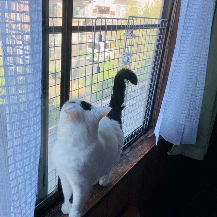 A2ef4347 4348 4e0b a888 876d520be777 1558737652248