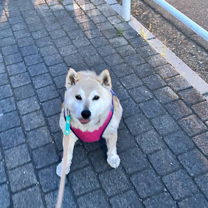 A2ef75db 1f4c 451f 89a4 6f71ebf4327d 1746755552552