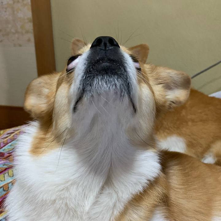 A2efa9b2 20b6 431f 8758 890d1b965ec6 1639731149948