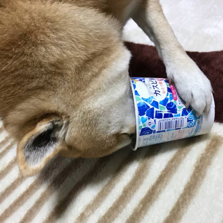 A2f02812 c349 4e64 8404 c7d7a789839f 1518168537000