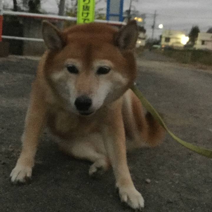 A2f0366a bc52 40a1 a4e3 265d45c307f5 1606205067821