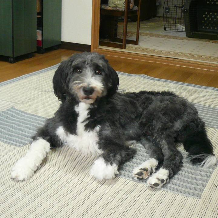 A2f03787 9011 4fc5 847f 120873411ac2 1528805992420