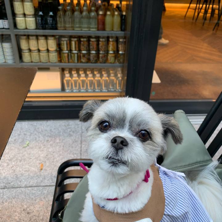 A2f04d04 dfa6 4595 980e 74d057292934 1624327289523