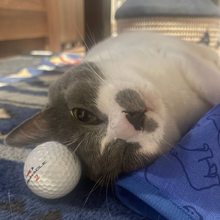 A2f07536 0354 4990 8cf3 8737d3f187b6 1690041949682